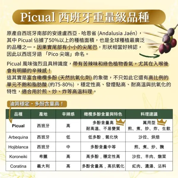 A‘NFORA de ORO 西班牙 100% PICUAL 早收頂級初榨冷壓橄欖油1000ml