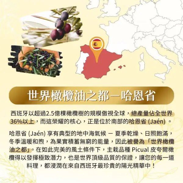A‘NFORA de ORO 西班牙 100% PICUAL 早收頂級初榨冷壓橄欖油1000ml